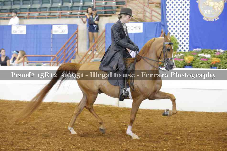 Proof 15R12_00951