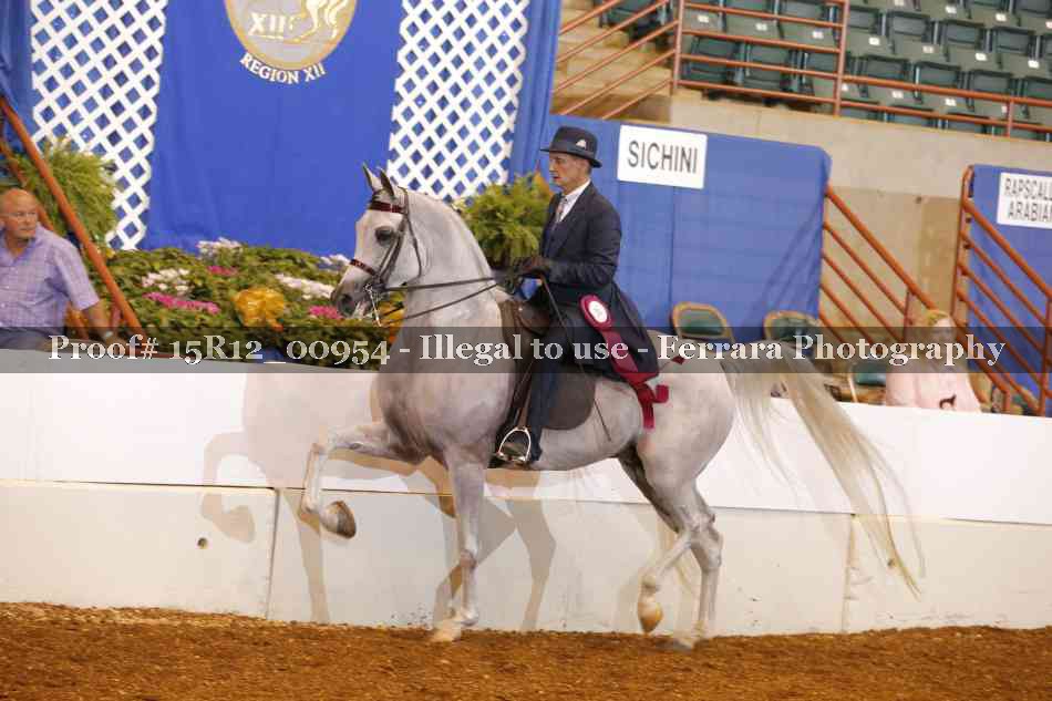Proof 15R12_00954