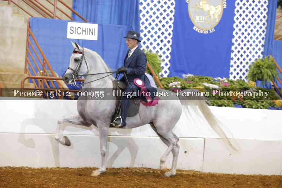 Proof 15R12_00955