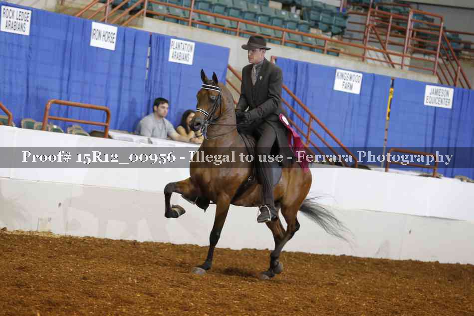 Proof 15R12_00956