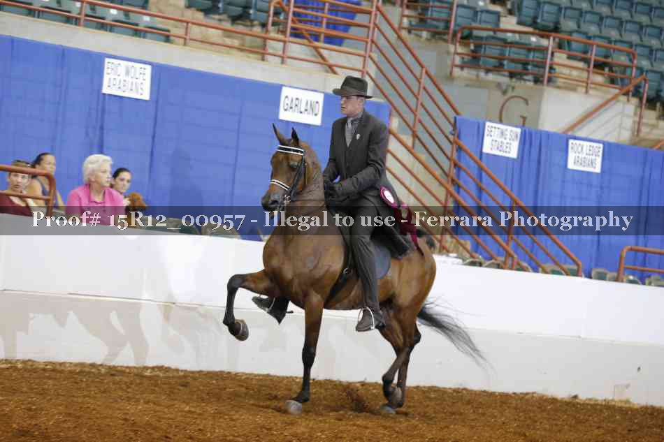 Proof 15R12_00957