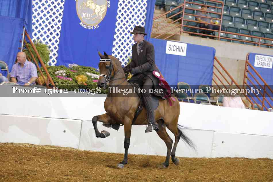 Proof 15R12_00958