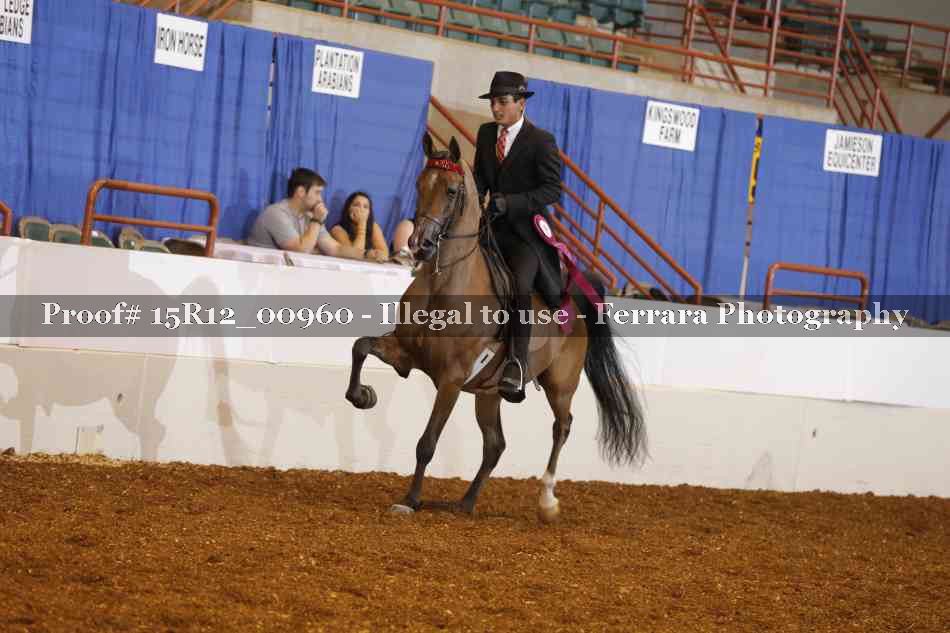 Proof 15R12_00960