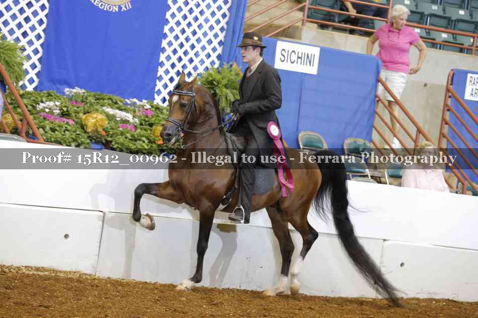 Proof 15R12_00962