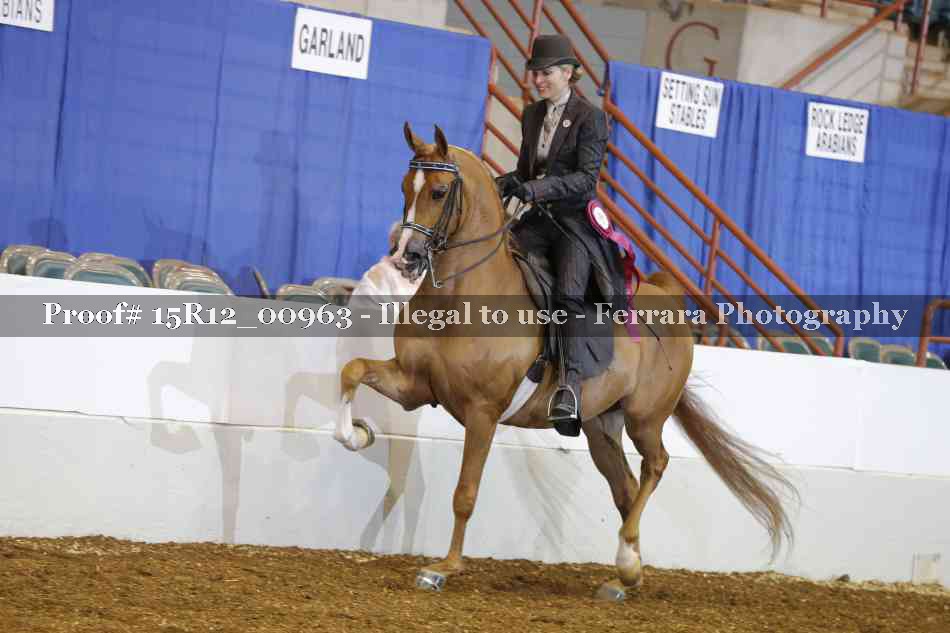 Proof 15R12_00963