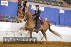 15R12_00964 proof