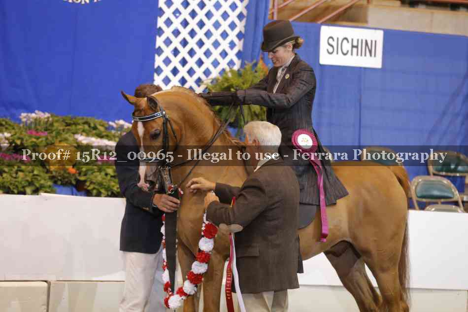 Proof 15R12_00965