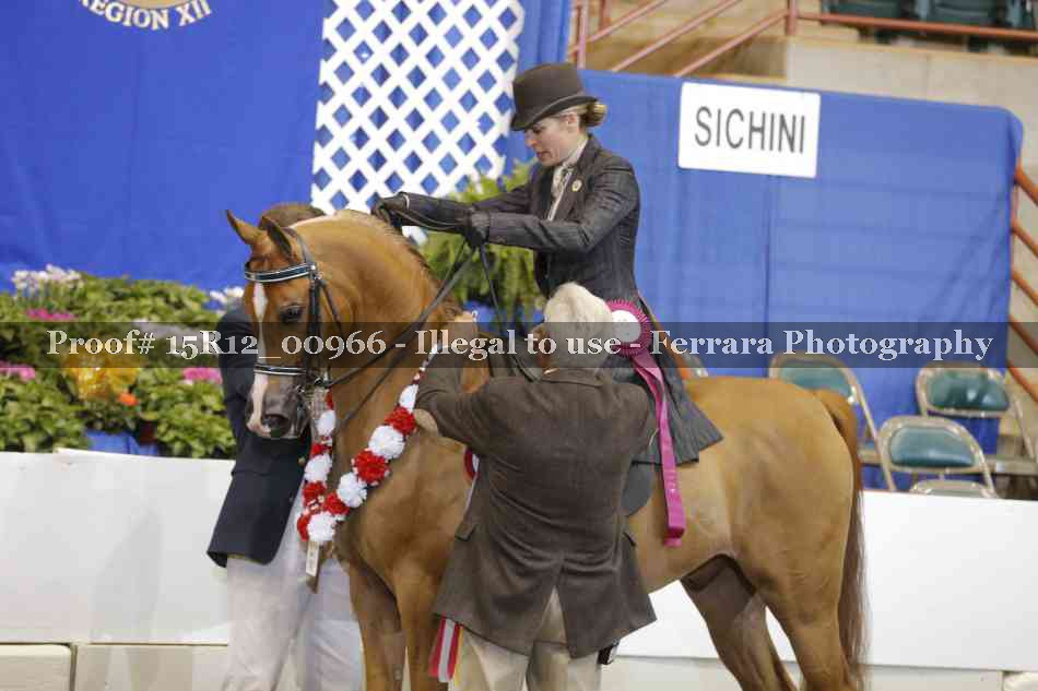 Proof 15R12_00966