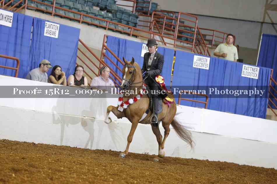 Proof 15R12_00970