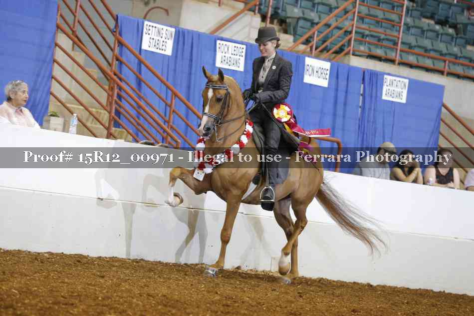 Proof 15R12_00971