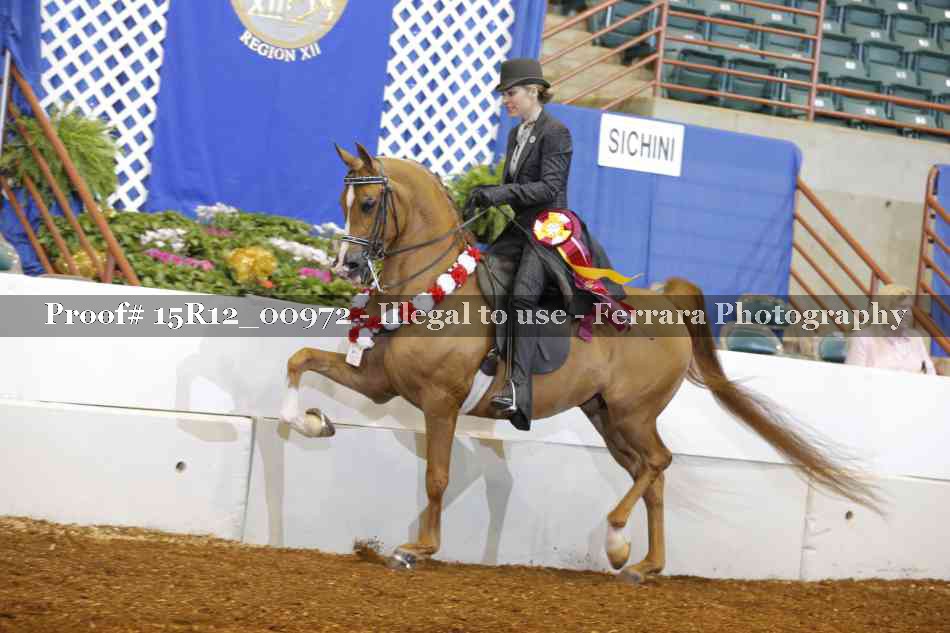Proof 15R12_00972