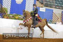 15R12_00972 proof