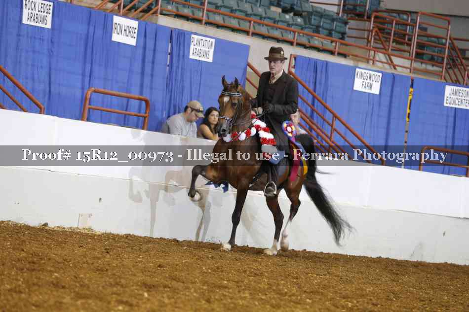 Proof 15R12_00973
