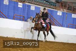 15R12_00973 proof
