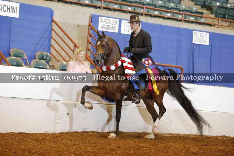 Proof 15R12_00975