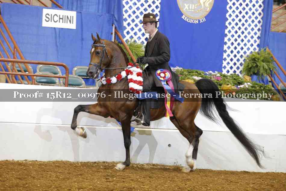 Proof 15R12_00976
