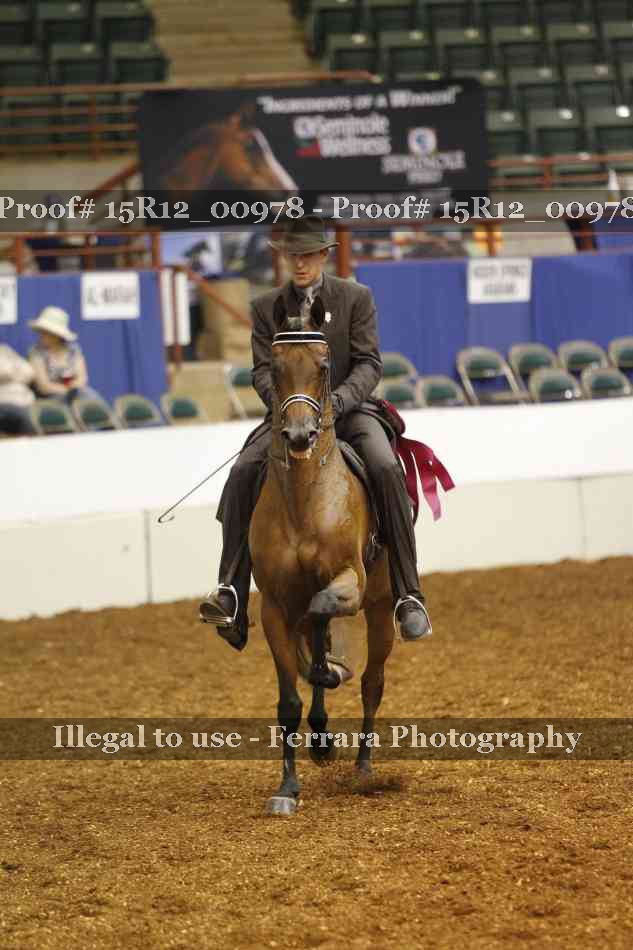 Proof 15R12_00978