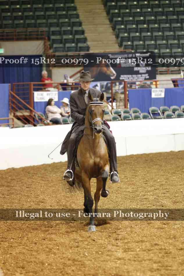 Proof 15R12_00979