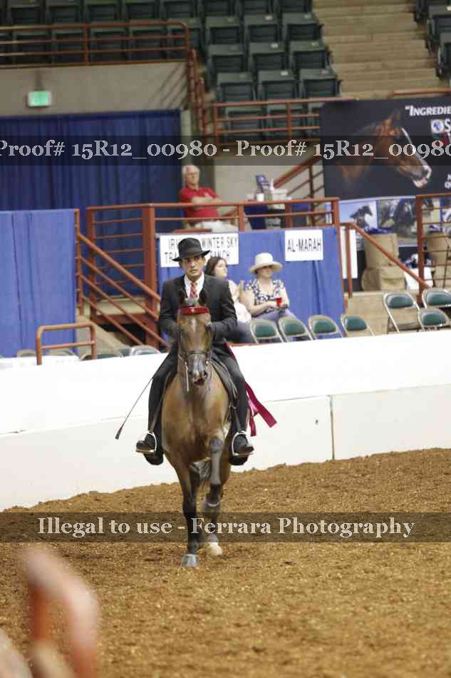 Proof 15R12_00980