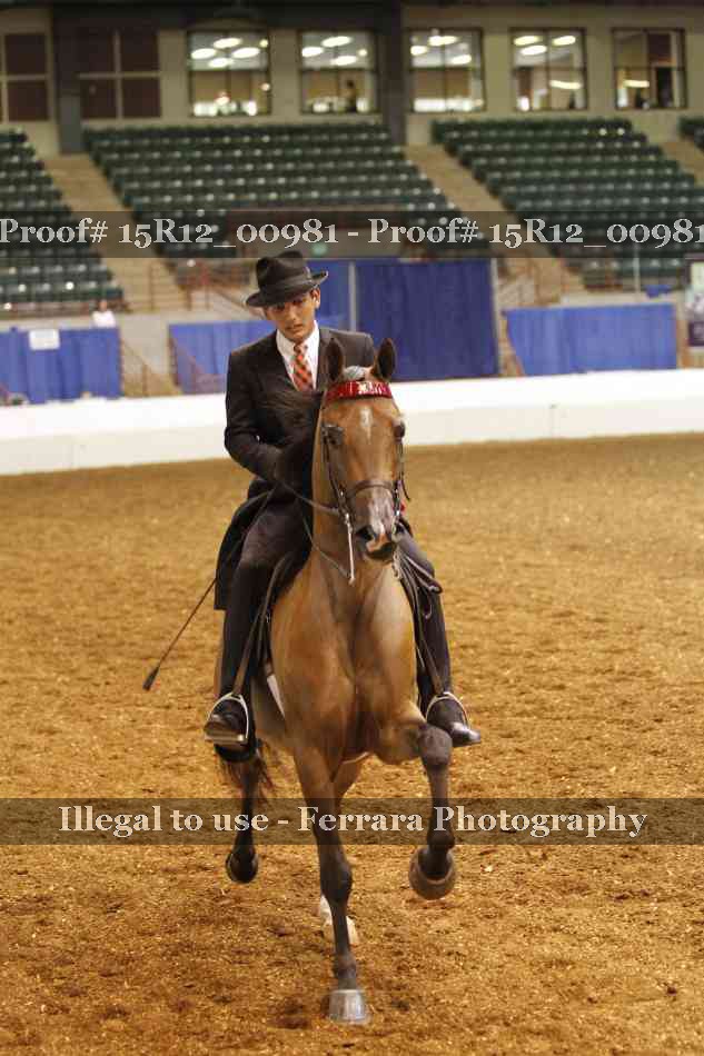 Proof 15R12_00981