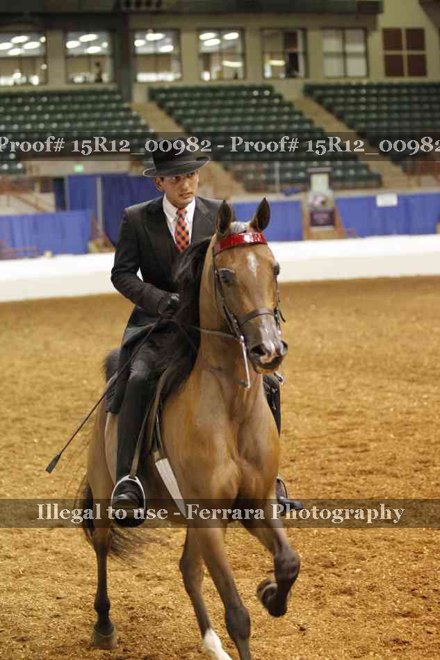Proof 15R12_00982
