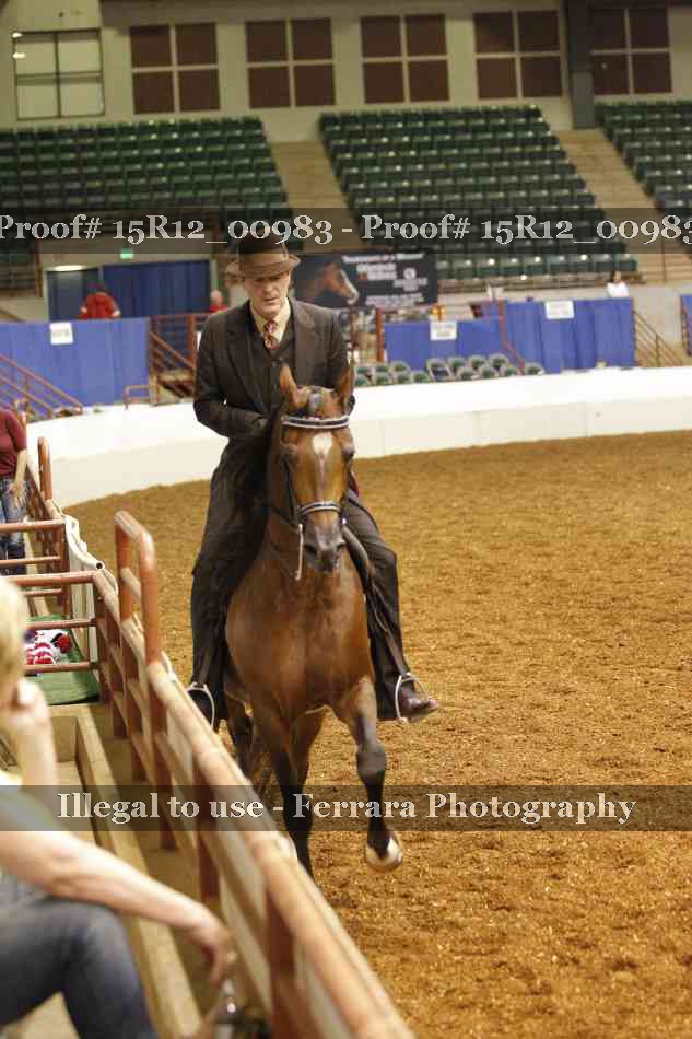 Proof 15R12_00983