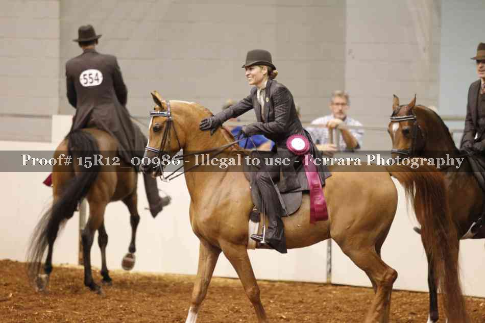 Proof 15R12_00986