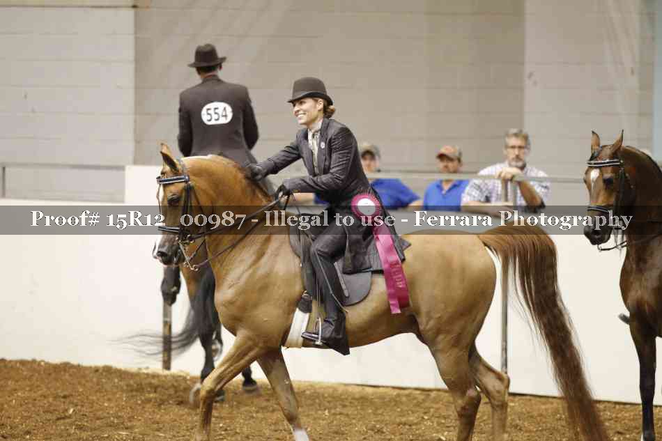 Proof 15R12_00987