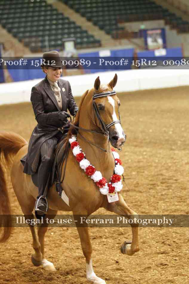 Proof 15R12_00989