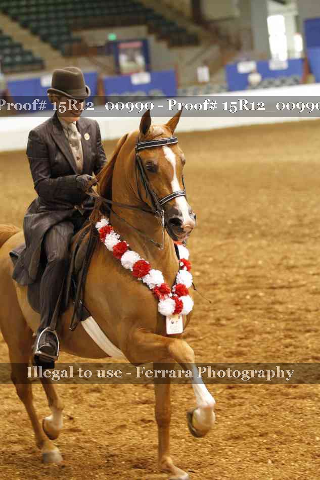 Proof 15R12_00990