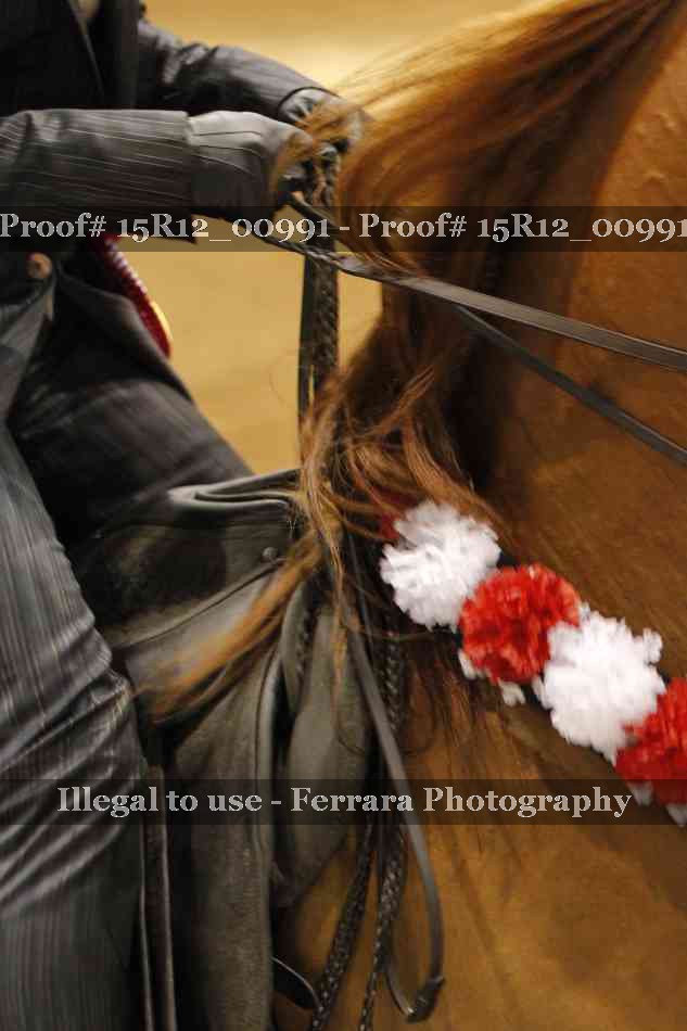 Proof 15R12_00991