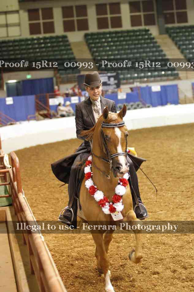 Proof 15R12_00993