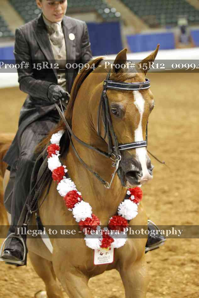 Proof 15R12_00994