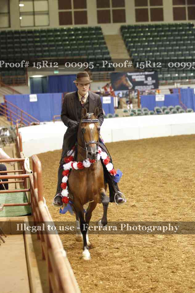 Proof 15R12_00995