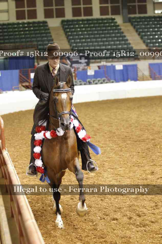 Proof 15R12_00996