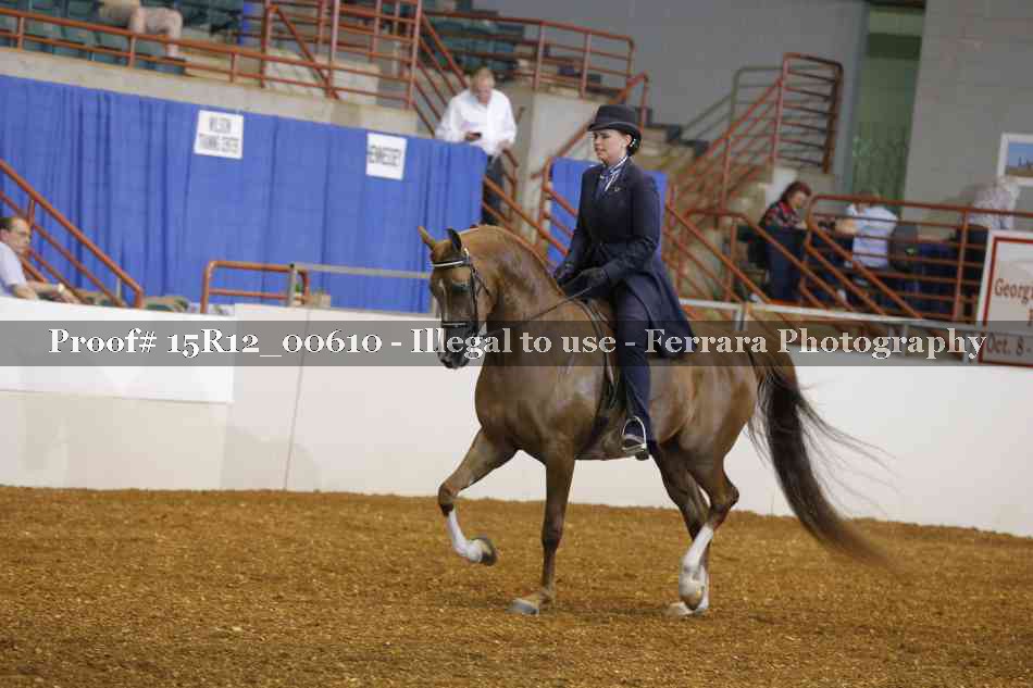Proof 15R12_00610