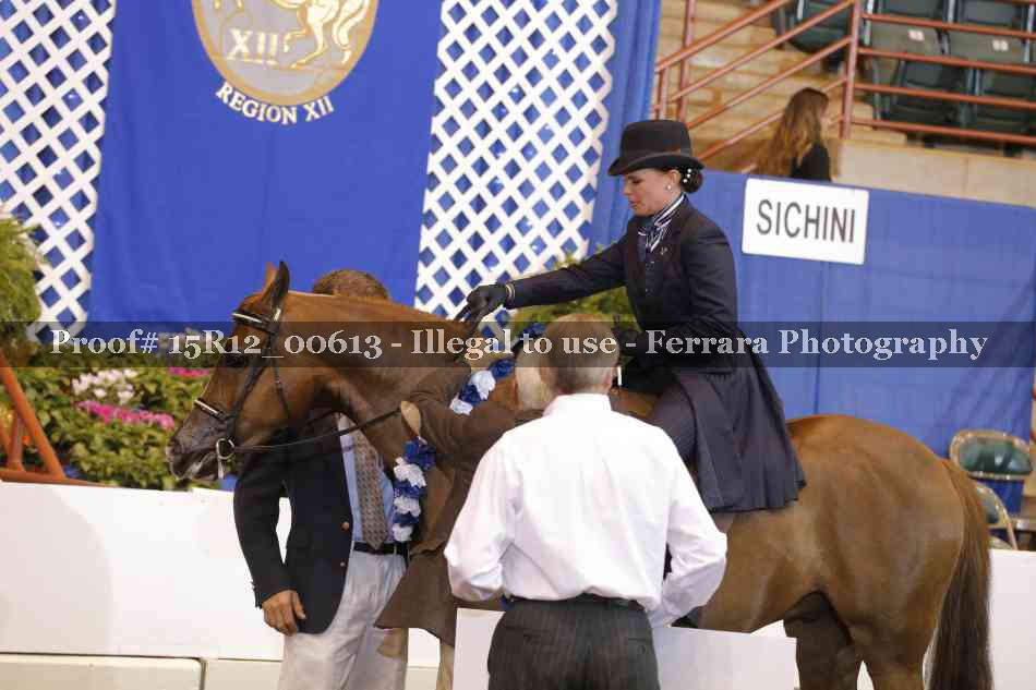 Proof 15R12_00613