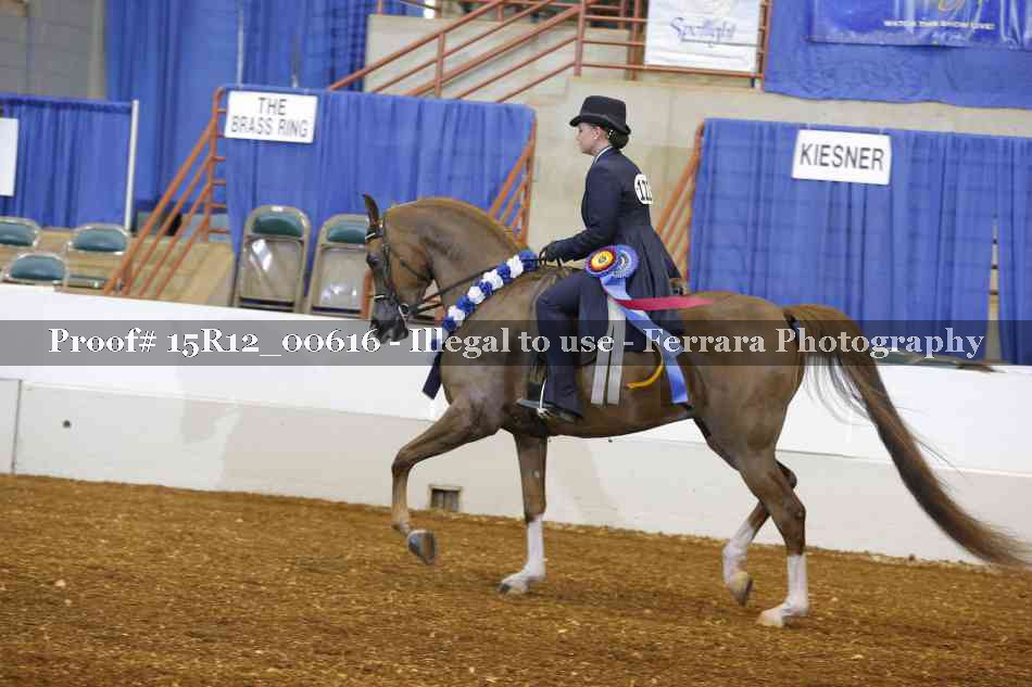 Proof 15R12_00616