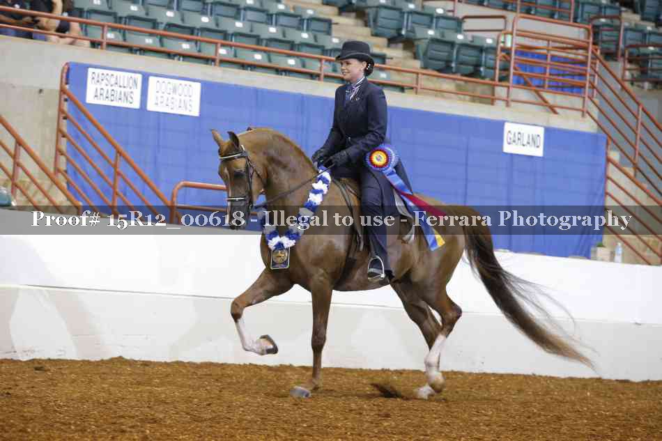 Proof 15R12_00618