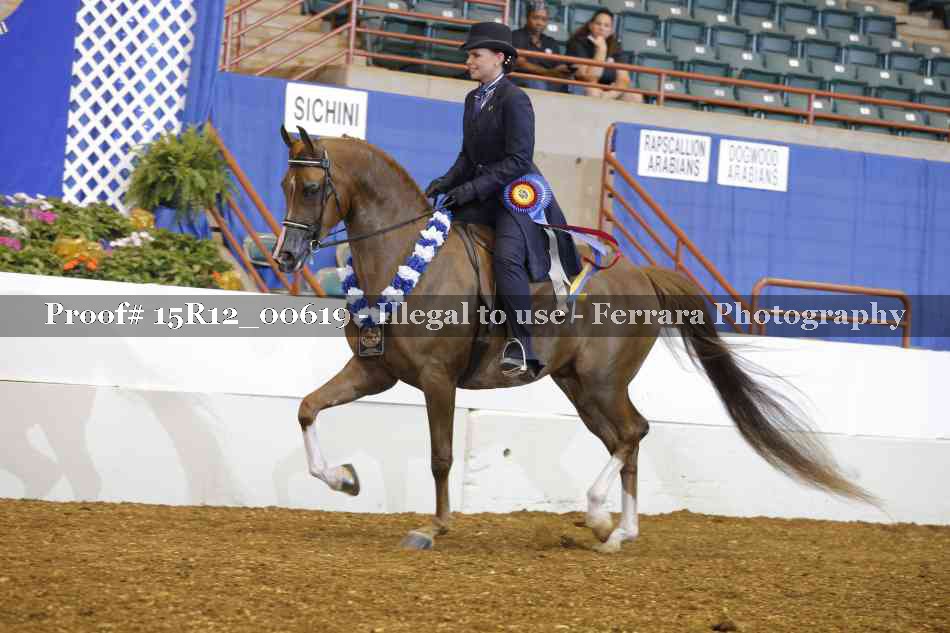 Proof 15R12_00619