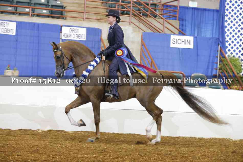 Proof 15R12_00620