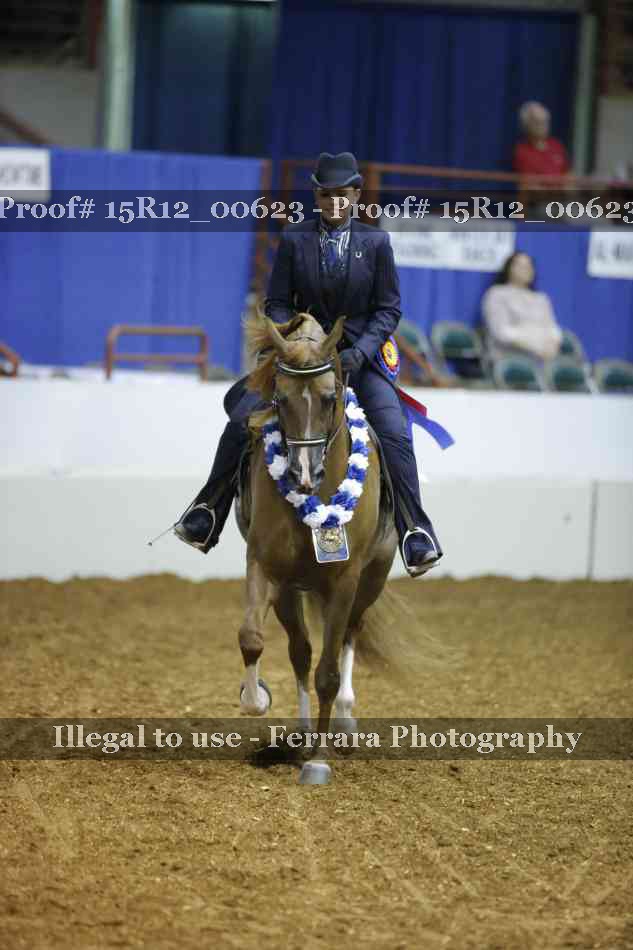 Proof 15R12_00623