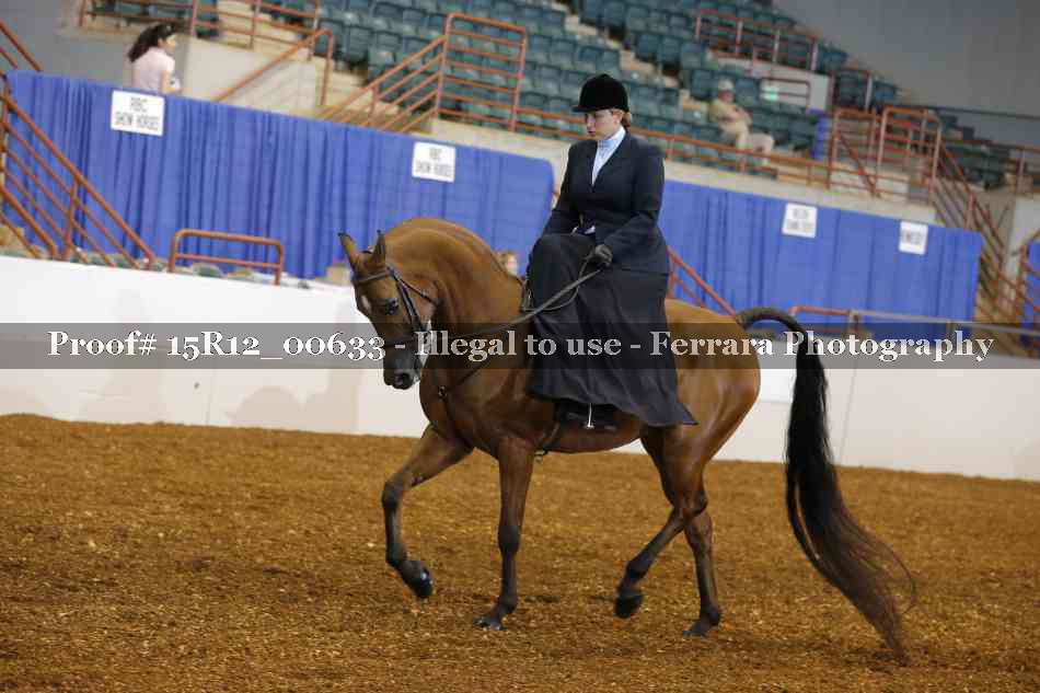 Proof 15R12_00633