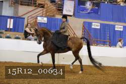 15R12_00634 proof