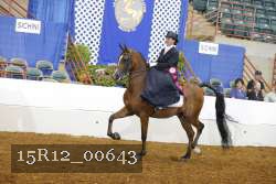 15R12_00643 proof