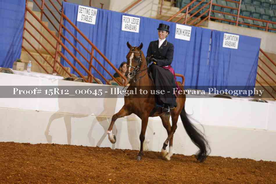 Proof 15R12_00645