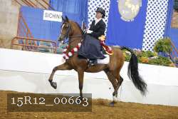 15R12_00663 proof