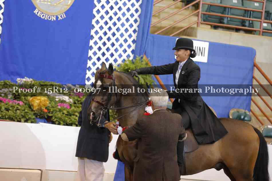 Proof 15R12_00697