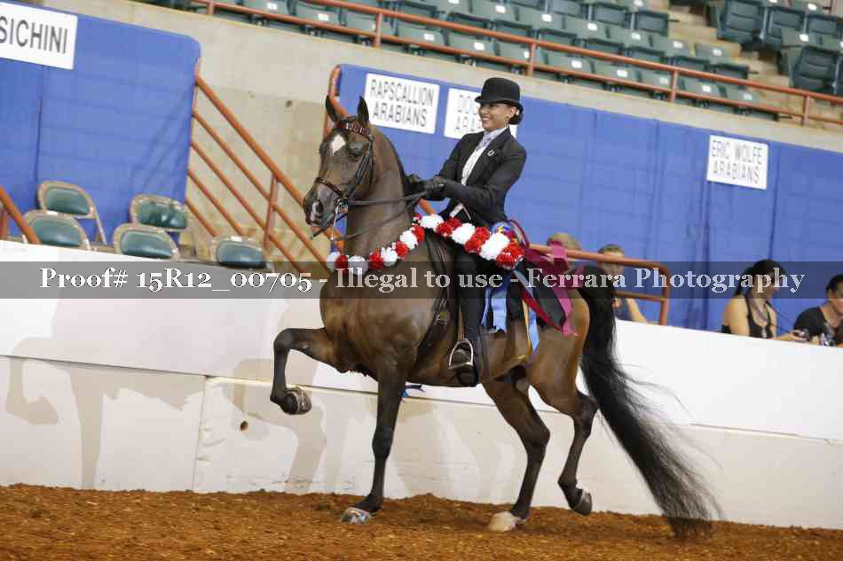 Proof 15R12_00705