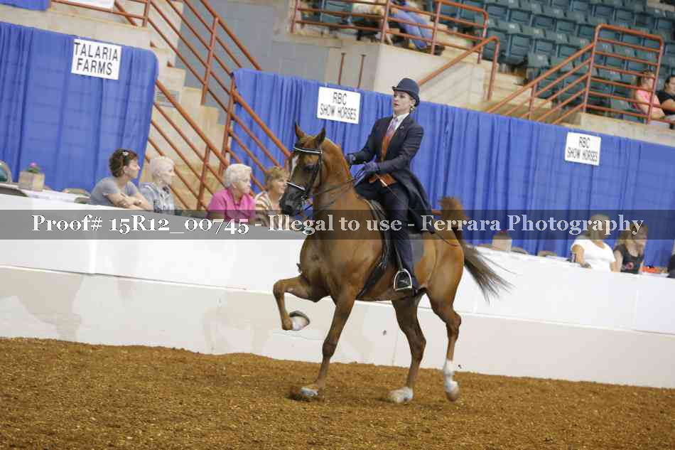 Proof 15R12_00745